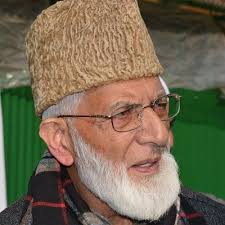 After a prolonged house detention, Geelani drives to Sopore