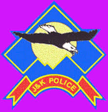 Budgam police solves burglary case
