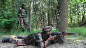 Forces launch cordon and search operations in north Kashmir woods