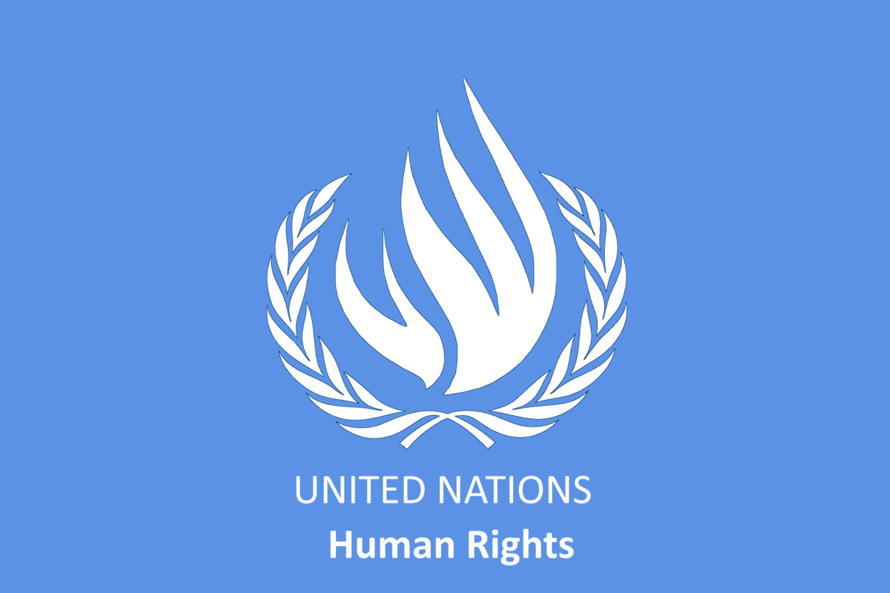 Rights org. Совет по правам человека ООН. Комитет поправах человека ООН. Комиссия по правам человека ООН эмблема.