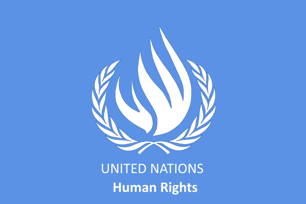 United nations human rights. Совет по правам человека ООН. Комитет поправах человека ООН. Эмблема ООН по правам человека.