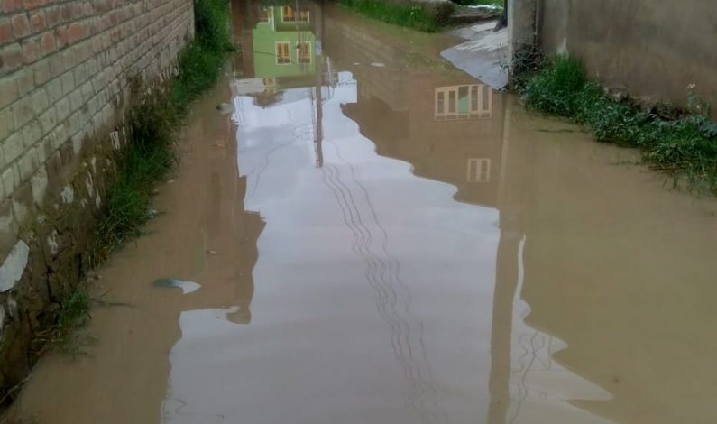 Since three weeks this Srinagar colony is under knee deep waters, officials unmoved, appeal Governor to intervene Since three weeks this Srinagar colony is under knee deep waters, officials unmoved, appeal Governor to intervene