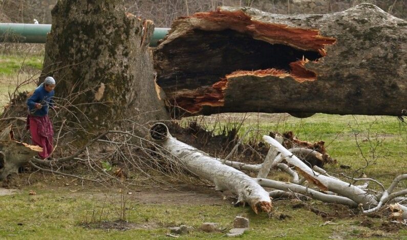 After Shopian, another woman killed in windstorm in Anantnag, toll 3 After Shopian, another woman killed in windstorm in Anantnag, toll 3