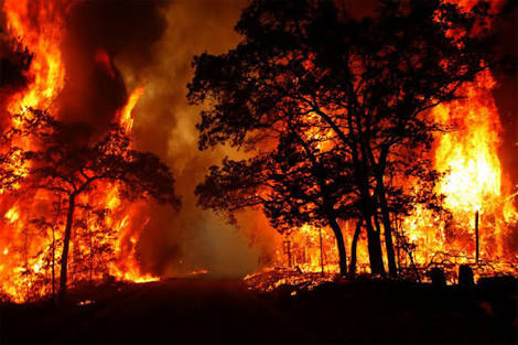 Forest fires kill at least 7 in Greek near Athens