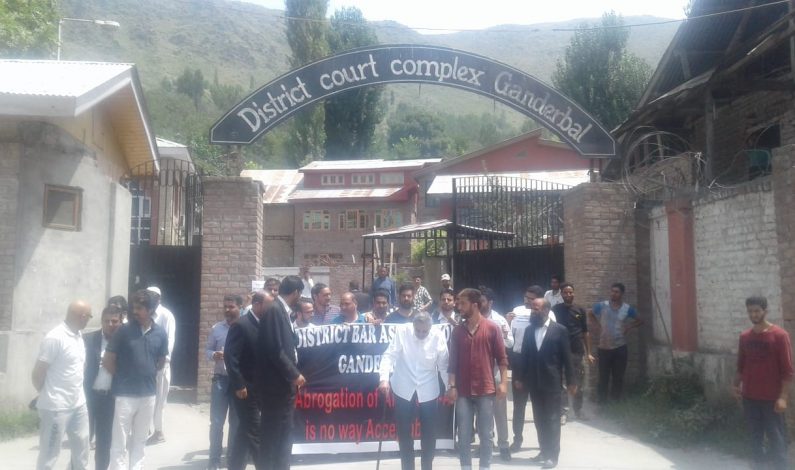 Article 35A: Civil society, teachers, lawyers, fruit growers protest against abrogation in Sopore, Ganderbal Article 35A: Civil society, teachers, lawyers, fruit growers protest against abrogation in Sopore, Ganderbal