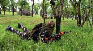 North Kashmir: Govt forces launch cordon and search operation in Sumlar area of Bandipora district