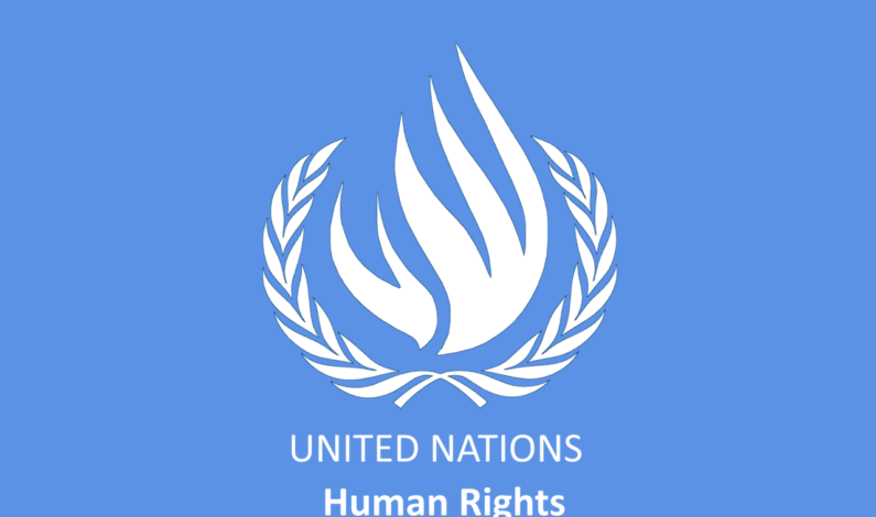 UN condemns raids on HR defenders, restriction on civil society