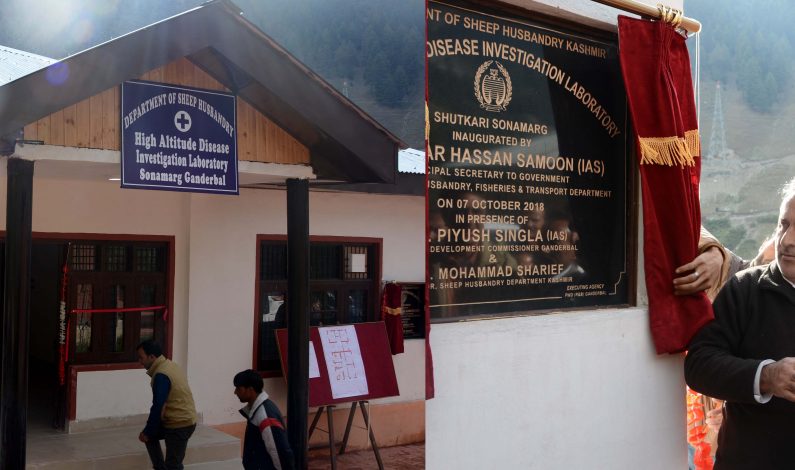 Kashmir gets High Altitude Disease Investigation Laboratory in a first Kashmir gets High Altitude Disease Investigation Laboratory in a first