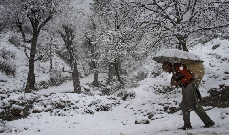 Fresh snowfall in higher reaches of Kashmir, rains lash plains; massive dip in night temperatures