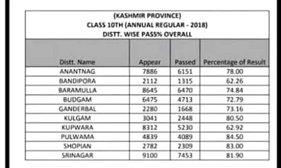 Amid gun battles, strikes, killings and daily bloodshed, South Kashmir districts top list of successful matriculate students