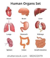 Jammu and Kashmir approves Transplantation of Human Organ (Amendment) Bill:SAC Jammu and Kashmir approves Transplantation of Human Organ (Amendment) Bill:SAC