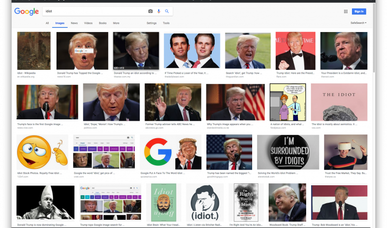 Google’s CEO explains why a picture of Donald Trump comes up when you search for ‘idiot’