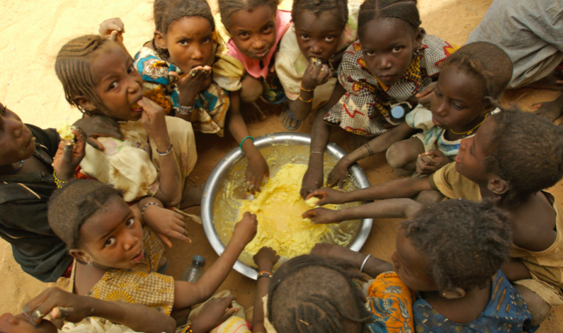 About 56 million people in urgent need of food in 8 conflict zones: Report