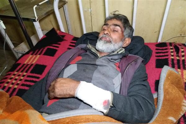 Bear attack leaves man injured Bear attack leaves man injured