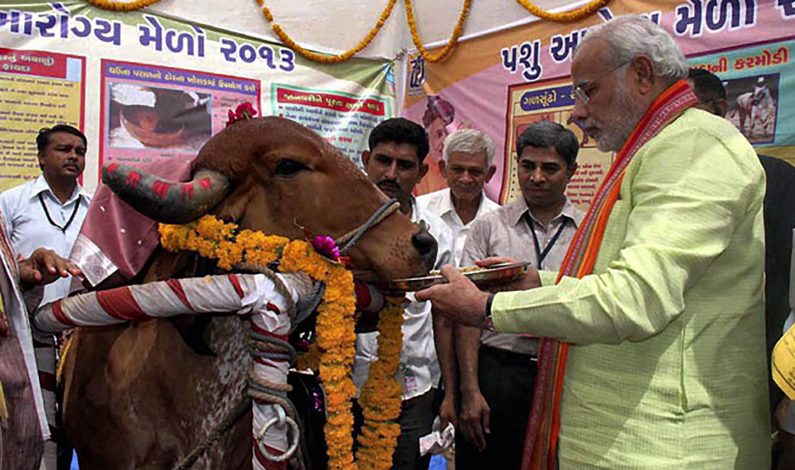 Cow important part of India’s tradition and culture: PM