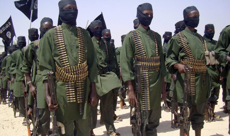 US army says airstrike kills 2 al-Shabab fighters in southern Somalia