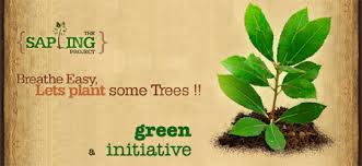 Greening Initiative for Srinagar, 2 lac saplings being planted in the city