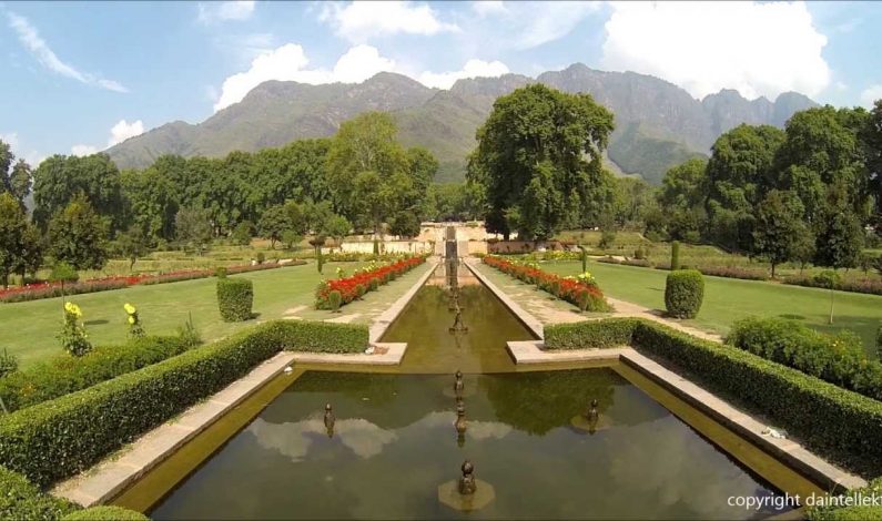 Mughal Gardens thrown open for public