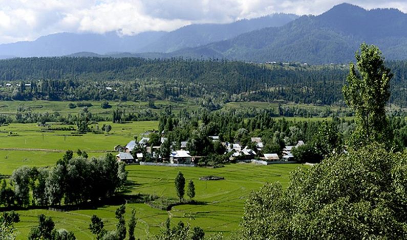 At Manan Wani’s village, most people stayed away from polling booths, others voted for ‘change’ At Manan Wani’s village, most people stayed away from polling booths, others voted for ‘change’