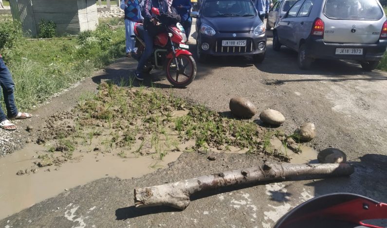 Kulgam-Yaripora road: Protesters plant paddy saplings on the road to invite attention of authorities Kulgam-Yaripora road: Protesters plant paddy saplings on the road to invite attention of authorities