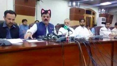 Pak minister accidentally shown with cat ears, whiskers on Facebook live streaming