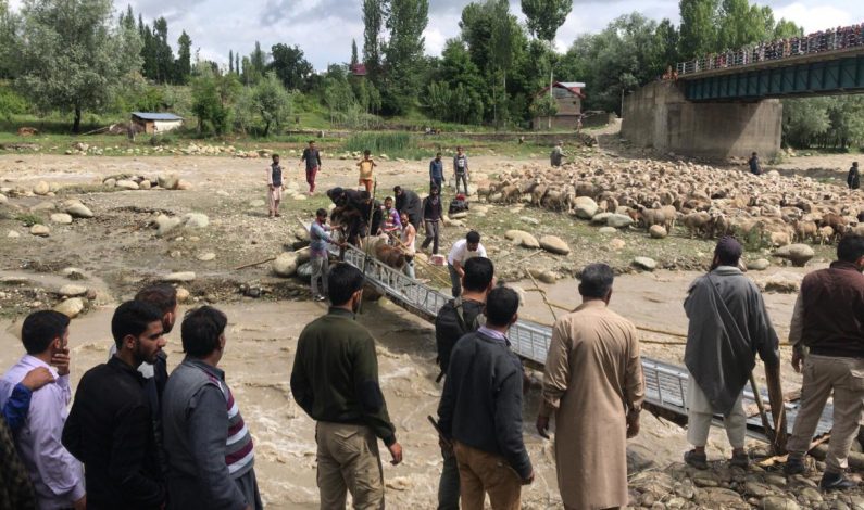 Cloudburst leave over 100 sheep, goats dead in Tral Cloudburst leave over 100 sheep, goats dead in Tral