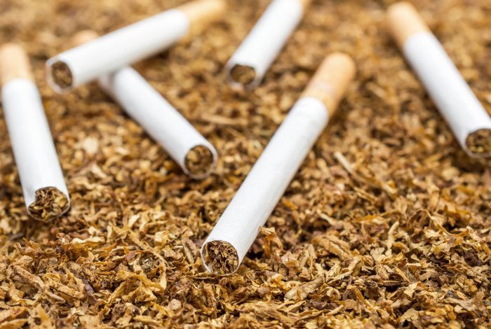 Tobacco consumption declined by 2-3 pc in recent yrs in J&K: Govt Tobacco consumption declined by 2-3 pc in recent yrs in J&K: Govt