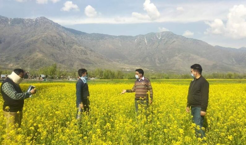J&K govt brings in measures to lessen economic impact on agriculture, allied sectors J&K govt brings in measures to lessen economic impact on agriculture, allied sectors