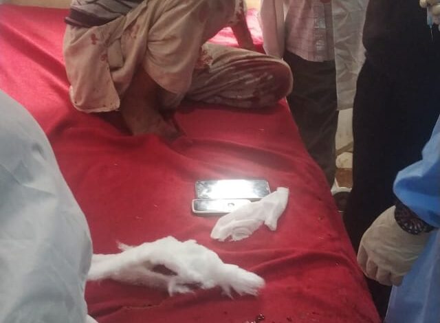 Two injured in bear attack in Tangmarag Two injured in bear attack in Tangmarag