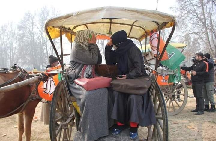 DDC polls: Sopore hosts first ever Tonga rally of BJP