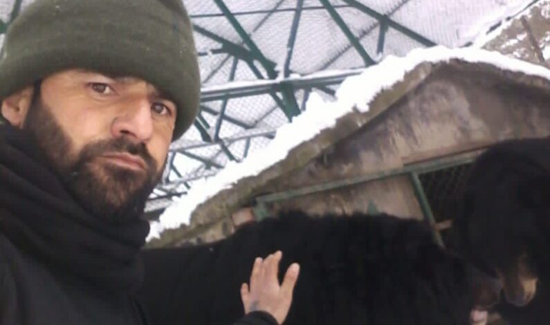 Meet Kashmir man who feeds food to wild bears by hand Meet Kashmir man who feeds food to wild bears by hand