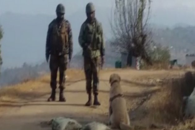 Bomb Disposal Squad rushed to spot after suspicious bag found in North Kashmir