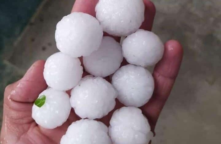 Hailstorm aftermath: Govt compiles report, says fruit crops in twin Kashmir districts suffer over 40% losses