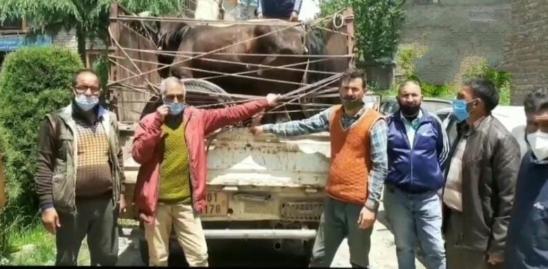 Four forest employees injured in attack by timber smugglers in Budgam