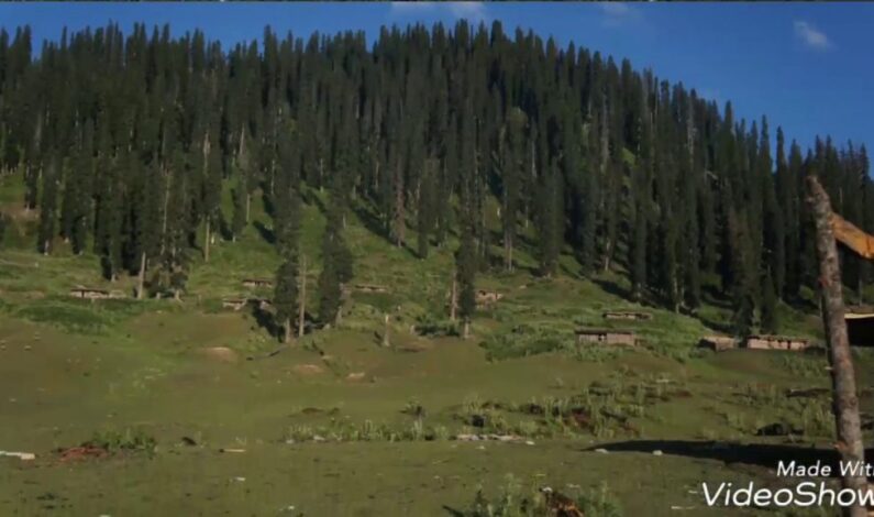 Once a meadow of death; Tosamaidan all set to be Kashmir’s major eco-tourism destination Once a meadow of death; Tosamaidan all set to be Kashmir’s major eco-tourism destination