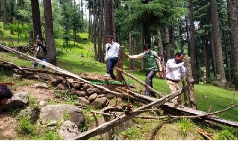 As Govt intensifies anti-encroachment drives, forest dwellers start seeking relief under FRA