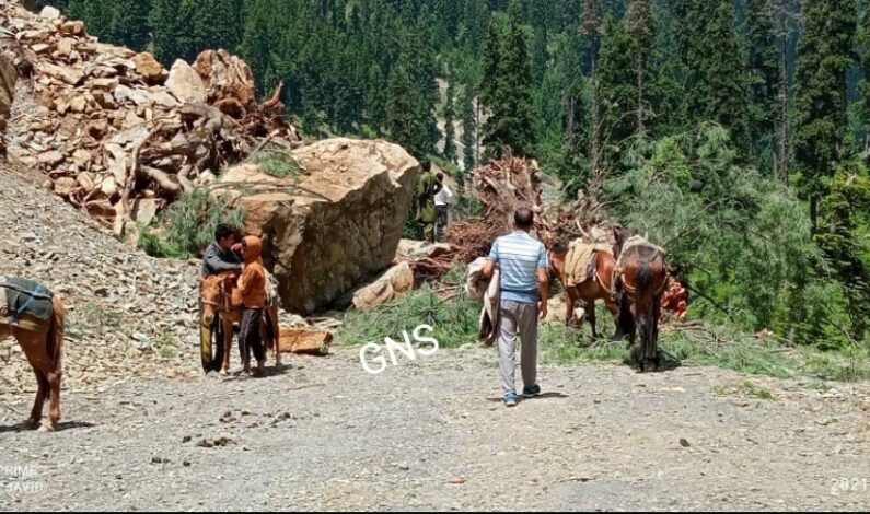 Narrow escape for many people on picnic as massive landslide occurs in Bangus Kupwara Narrow escape for many people on picnic as massive landslide occurs in Bangus Kupwara