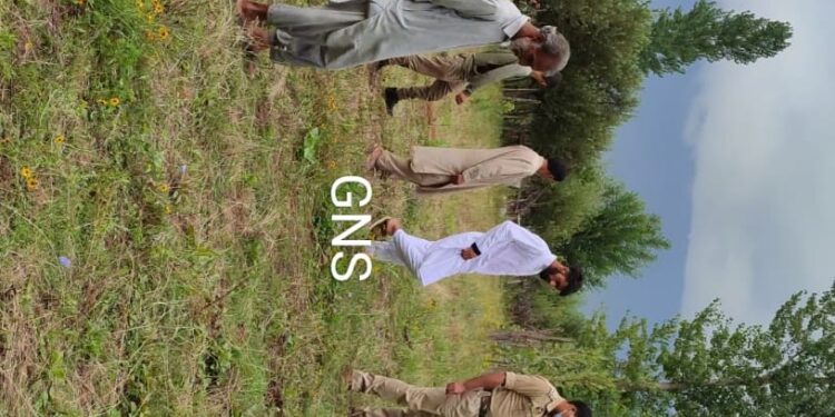 Unknown People Chop Down Over 50 Apple Tree Saplings in Kupwara Unknown People Chop Down Over 50 Apple Tree Saplings in Kupwara