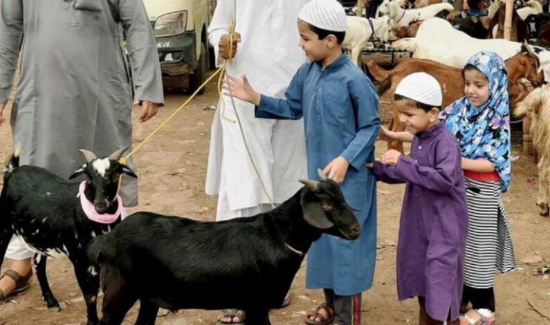 Ahead of Eid-ul-Adha, govt fixes rates for sacrificial animal in Kashmir