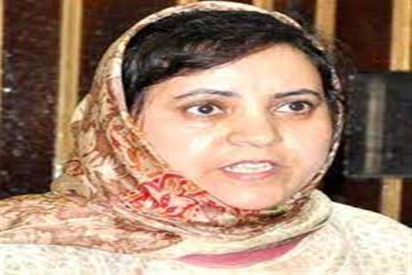 Rumours over National Conference boycotted Delimitation Commission Wrong: Sakeena Itoo Rumours over National Conference boycotted Delimitation Commission Wrong: Sakeena Itoo