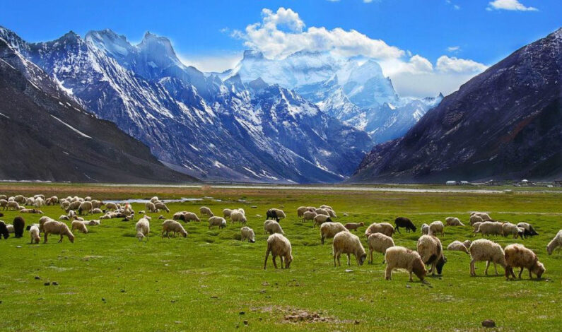 Efforts underway to strengthen Hill Council in Ladakh: LS speaker Efforts underway to strengthen Hill Council in Ladakh: LS speaker