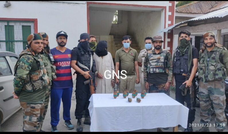 10 Hand Grenades Recovered in Kralpora: Officials 10 Hand Grenades Recovered in Kralpora: Officials
