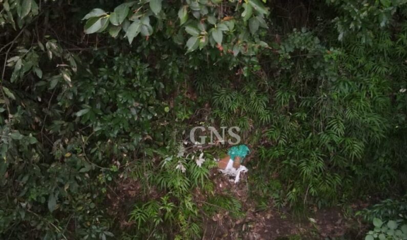 Poonch encounter: IED Recovered, Destroyed During Searches In Mendhar Woods Poonch encounter: IED Recovered, Destroyed During Searches In Mendhar Woods