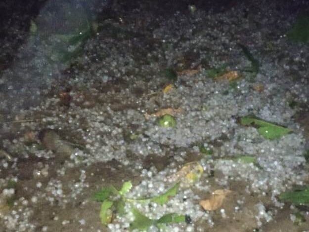 Multiple Hamlets in Kupwara, Baramulla Witness Severe Hailstorm; Extensive Damage to Orchards, Paddy Harvest Reported