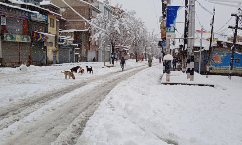 Snow, rainfall continue in Jammu and Kashmir: Weather To Be Generally Cloudy Till March 2