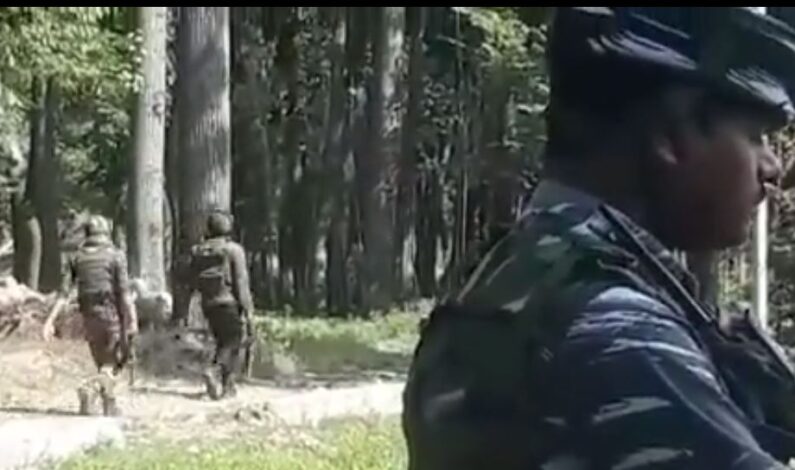 Five militants killed in Kupwara gunfight Five militants killed in Kupwara gunfight