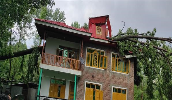 Massive Hailstorm Wreaks Havoc To Orchards Across Parts of North Kashmir Districts Massive Hailstorm Wreaks Havoc To Orchards Across Parts of North Kashmir Districts