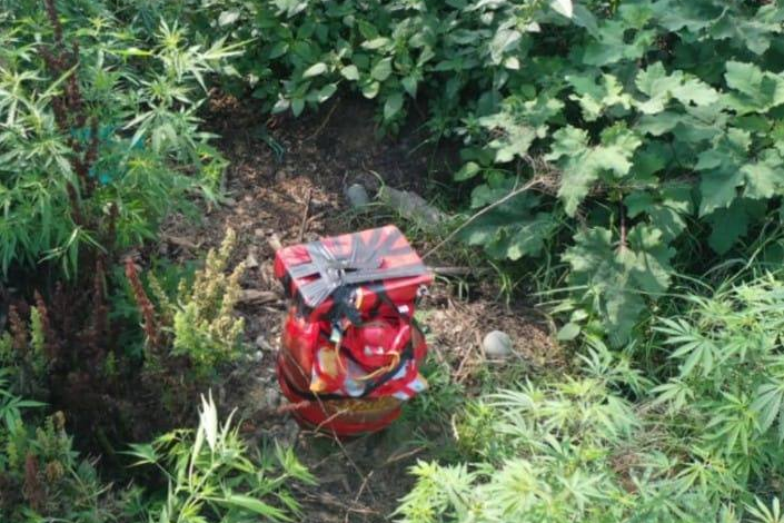 IED like material Detected, Defused In Pulwama district IED like material Detected, Defused In Pulwama district