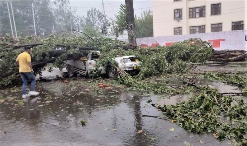 Rain Fury: Two youth injured, dozen residential houses damaged across Kashmir Rain Fury: Two youth injured, dozen residential houses damaged across Kashmir