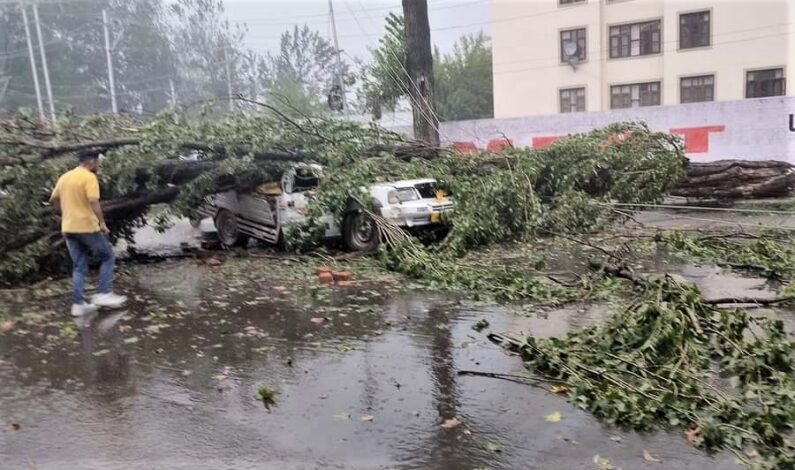 Rain Fury: Two youth injured, dozen residential houses damaged across Kashmir